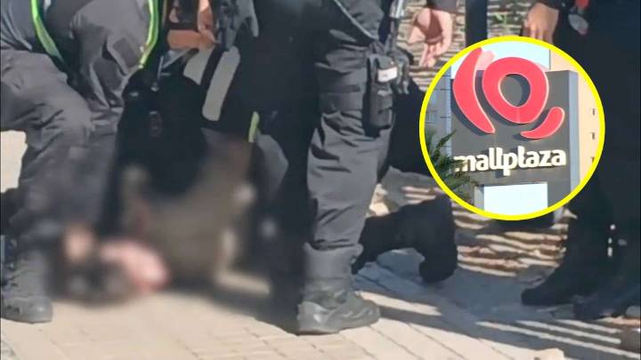 Tragedia en mall de La Florida: Familia de la víctima apunta contra los guardias del recinto