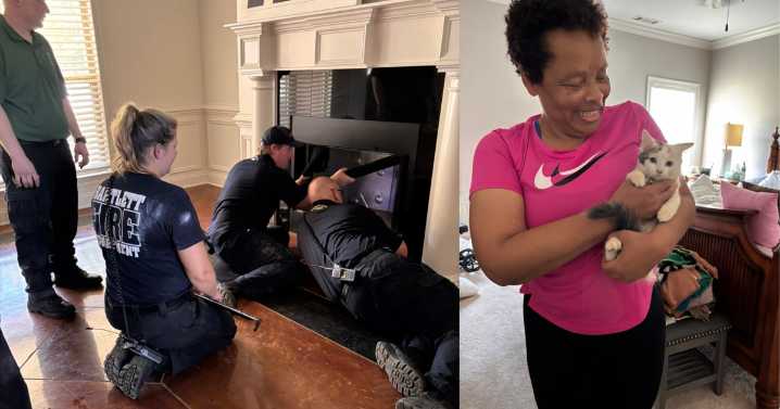 Trapped cat rescued from inside chimney in Bartlett