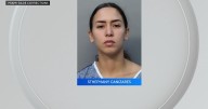 Miami police officer accused of firing gun during domestic violence incident, jail records show
