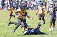 WYFL 8U Scores And Highlights