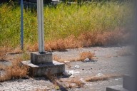 Nuevo incendio junto al Auditorio Rocío Jurado, el cuarto en una semana en la Cartuja