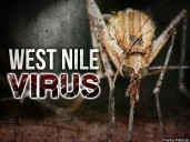 Lexington health department to spray for mosquitoes after third West Nile case