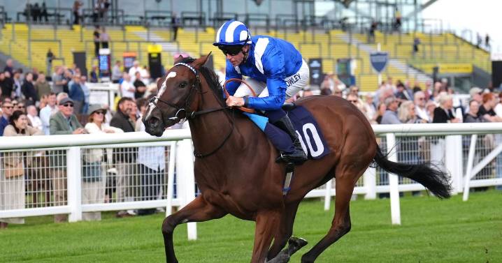 'I tipped 16-1 Kerry National winner – and fancy 66-1 shot on Friday' – Jason Heavey's racing tips