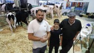 Los últimos preparativos de Agropec para su gran apertura en el recinto Luis Adaro de Gijón: "Es la fiesta de la ganadería"