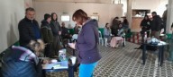 Exitosas jornadas de castración y vacunación en Riestra y Pedernales