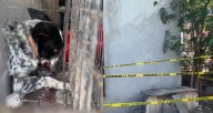 Bebé muere tras presunto ataque de perros en Matamoros, Tamaulipas