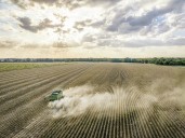 GOP plan on pesticides faces revolt from MAHA moms