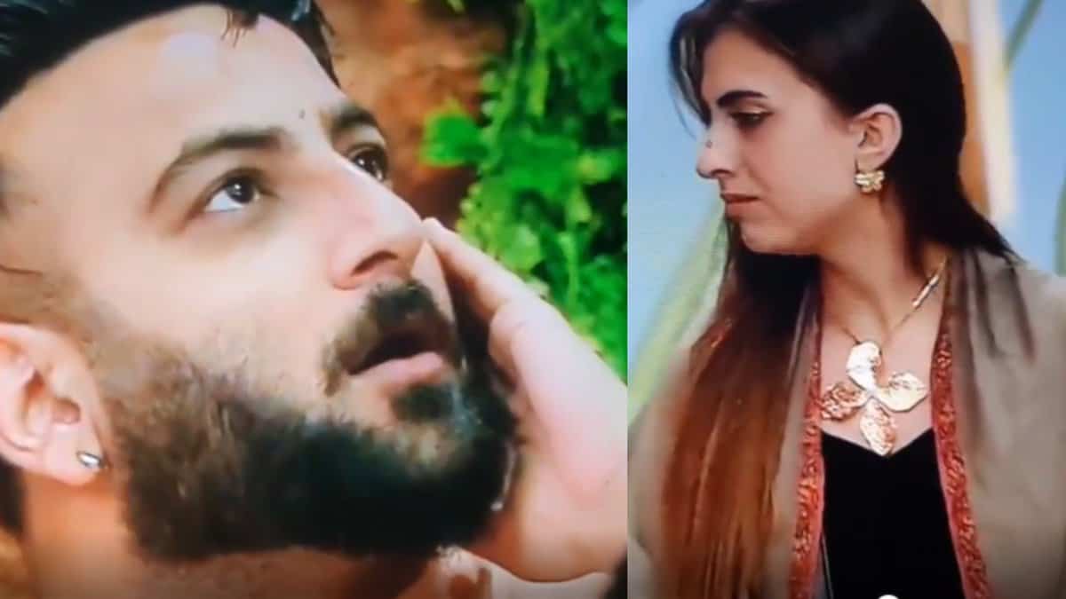 Farhana ‘slaps’ Shehbaz in Bigg Boss 19, video goes viral
