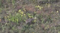 Drone service helps Ohio hunters track deer, find missing pets
