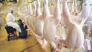 Aumentaron casi 300% importaciones de carne aviar y caen las exportaciones