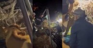 Los Bomberos de Granada rescatan a una vaca atrapada en Sierra Nevada