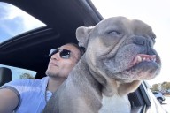 “Rest Easy”: Tony Ferguson’s Misfits Triumph Cut Short by Heartbreaking Loss of His Beloved Pet After Tony Ferguson won his first fight since 2018, his celebrations turned into sorrow as he announced 