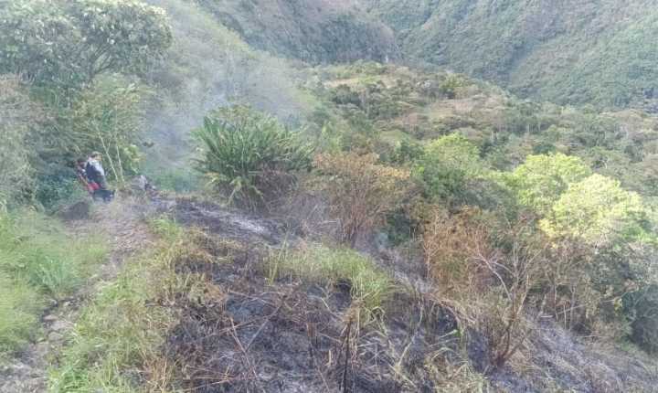 Incendio forestal afectó cinco hectáreas en la vereda San Antonio