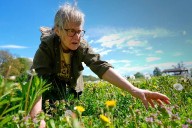 Foraging revival: How wild food enthusiasts are reconnecting with nature
