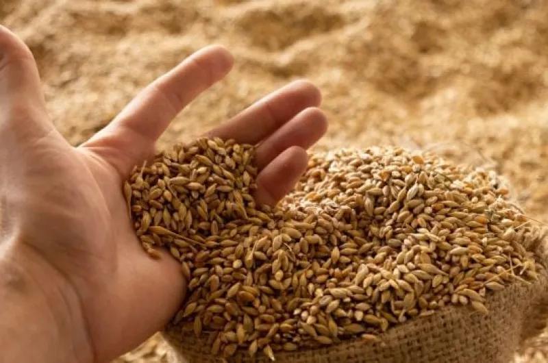 Productor denuncia estafa por $ 70 M. y afirma que el acusado se oculta en Chaco con nuevo amor