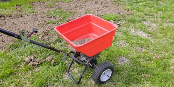 Do This Inexpensive Lawn Chore Now for Gorgeous Grass by Spring
