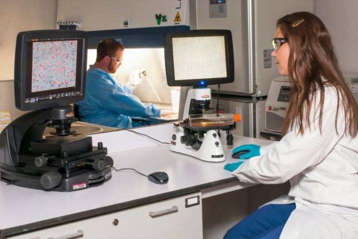 Best Biotech Penny Stocks Right Now  • Updated Daily • Benzinga