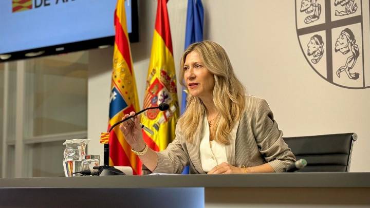El Gobierno de Aragón exige inversiones en la red eléctrica para evitar que el “colapso frene el crecimiento económico”