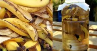 Los beneficios de mezclar cáscara de banana con vinagre: ¿para qué se usa? 