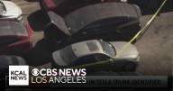 Body found at Hollywood tow yard inside Tesla belonging to D4vd is identified