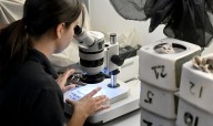Los Angeles County reports first human West Nile virus cases of 2025