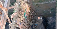 Gobierno de Matamoros previenen inundaciones con limpieza de rejillas