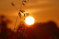 Summer 2025 was UK’s warmest on record