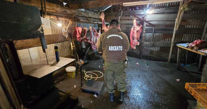 Detienen a hombre en San Carlos con 112 kilos de carne faenada ilegalmente