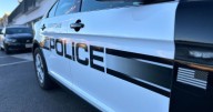 Man seriously injured following shooting on Stafford Drive: CPD