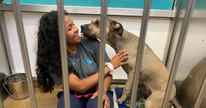 Gulf Coast Humane Society offers name-your-price adoptions Sept. 5 through Sept. 7