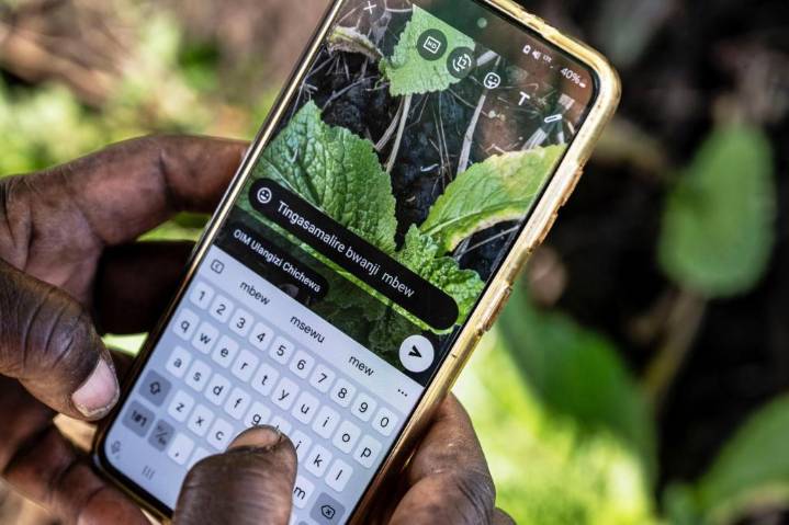How AI is helping some small-scale farmers weather a changing climate