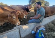 Recría de novillas en extensivo para lograr las mejores vacas