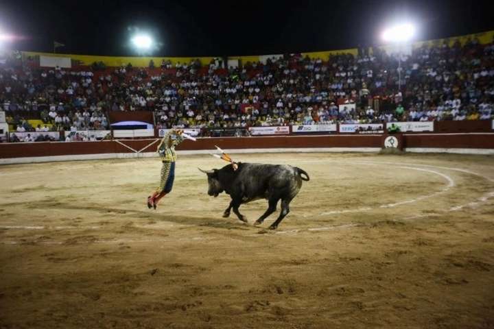 Ayuntamiento de Morelia cancela corrida de toros tras revocación de amparo