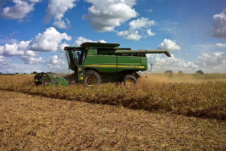 El Gobierno negó "complicidad" con las cerealeras que lograron beneficios millonarios con la "retención cero"