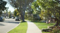 Latest suburban craze could create deciding factor for midterms: GOP pollster