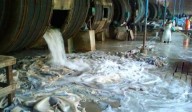 Condenan a tres años de prisión en suspenso a un hombre por contaminación peligrosa