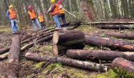 Suspende Profepa aprovechamiento forestal en San Jerónimo Zacapexco