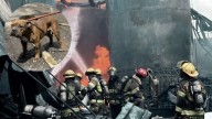 Rescatan a perrito de incendio en fábrica de Escobedo
