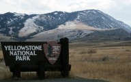 Hiker injured by bear in Yellowstone released from hospital
