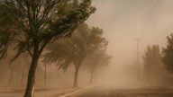 Mendoza bajo alerta: tormentas, viento Zonda y ráfagas intensas para este viernes