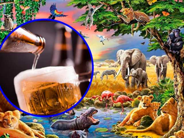 Estudio revela que un animal de la selva consume alcohol a diario equivalente a una cerveza