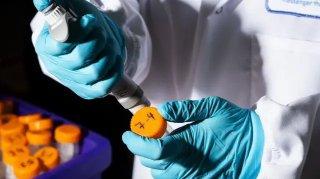 Rusia anuncia vacuna contra el cáncer; promete acceso gratuito