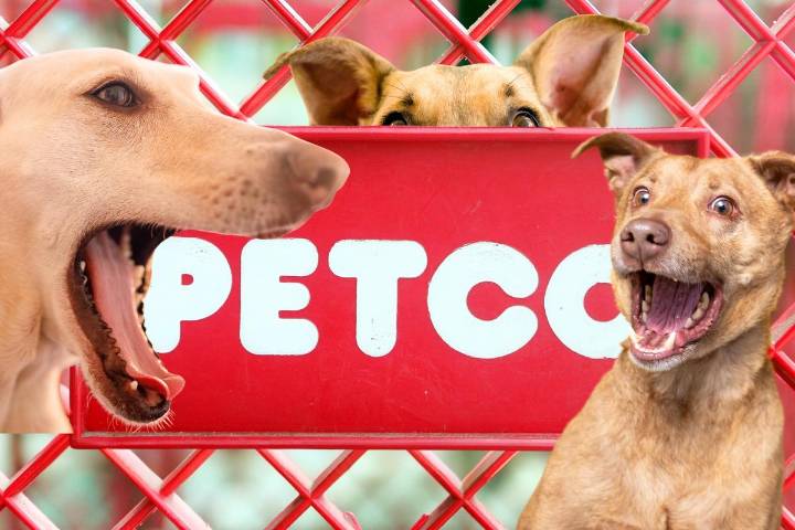 Petco Closing Locations Nationwide