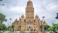 Mumbai News: BMC Launches Special Cleanliness Drive To Remove Floating Waste From Nullahs Across City