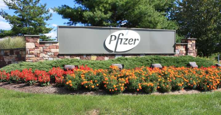 Trump announces Pfizer drug price cuts amid White House push on pharma industry 
