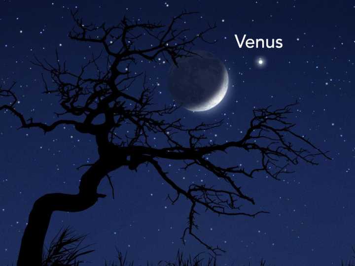 Morning vs Evening Star: Why Planets Like Venus Change Their Celestial Role