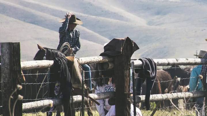 Tras cancelación de Tito Double P y El Komander, ¿cómo queda la cartelera de la Expogan 2025?