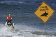 Un tiburón mata a un bañista cerca de Sydney