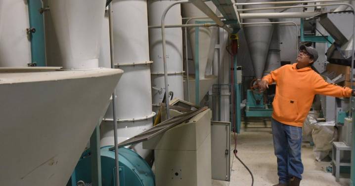 Penn Yan Seed Cleaner Sorts Out Grain Business’ Next Chapter
