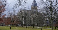 Two Cornell University students killed bear and skinned it back at their dorm